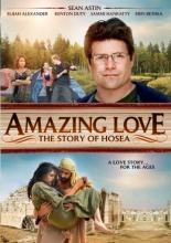 Удивительная любовь (2012)