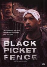 Black Picket Fence 2002