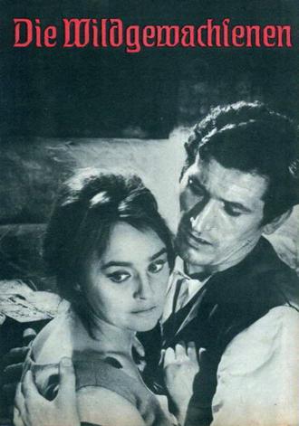 Самородки (фильм 1963)