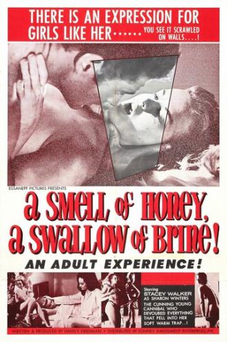 На запах — мед, на вкус — рассол (фильм 1966)