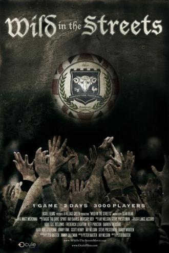 Безумный футбол (фильм 2012)