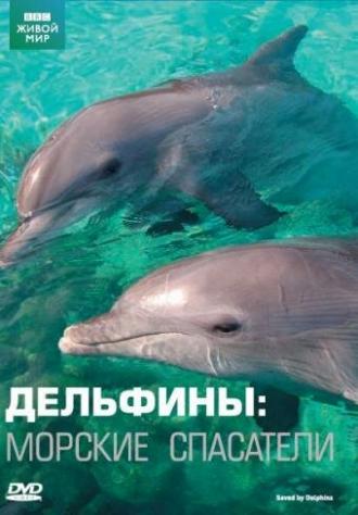 Дельфины: Морские спасатели (фильм 2008)