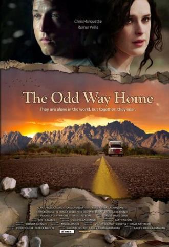 Странный путь домой (фильм 2013)