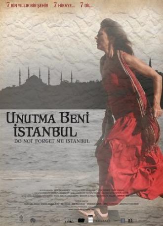 Не забывай меня, Стамбул (фильм 2010)