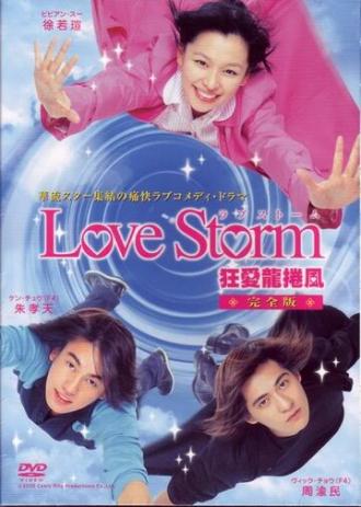 Любовный шторм (сериал 2003)