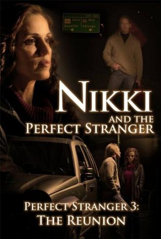 Nikki and the Perfect Stranger (фильм 2013)