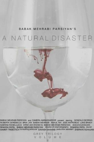 A Natural Disaster (фильм 2016)