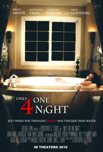 Только на одну ночь (фильм 2016)