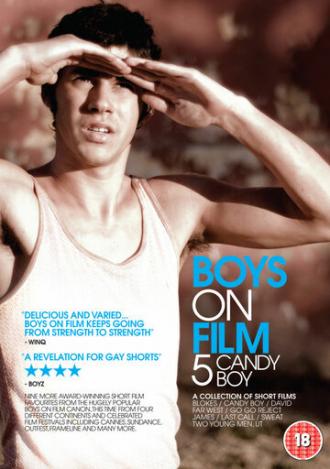 Фильм для парней 5: Мальчик-конфетка (фильм 2010)