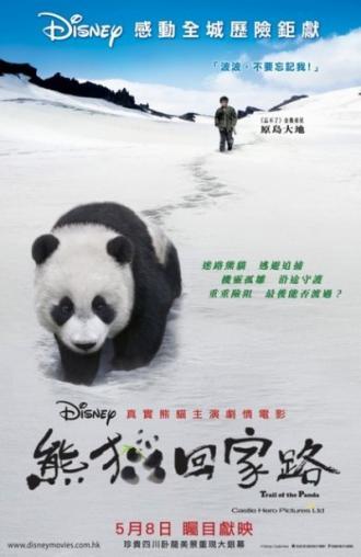 След панды (фильм 2009)
