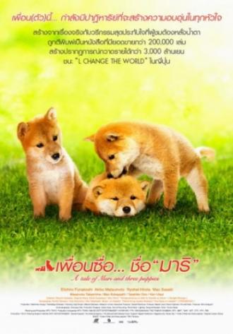 История Мари и трех щенков (фильм 2007)