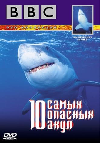 BBC: 10 самых опасных акул (фильм 2001)