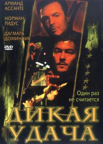 Дикая удача (фильм 2003)