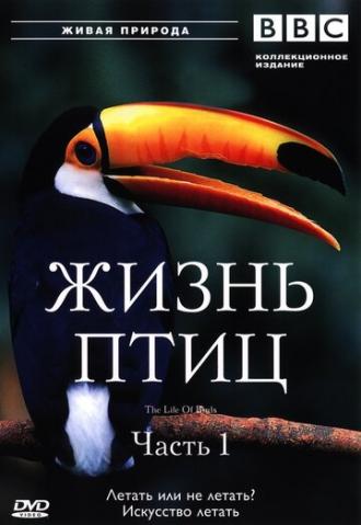 BBC: Жизнь птиц (сериал 1998)