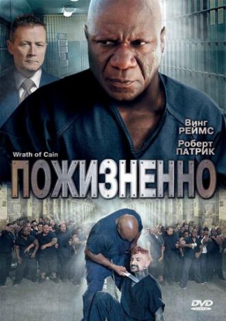 Пожизненно (фильм 2010)