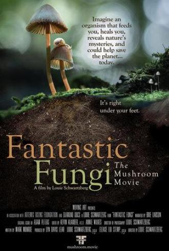 Фантастические грибы (фильм 2019)