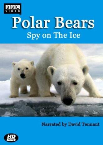 Белый медведь: Шпион во льдах (фильм 2011)