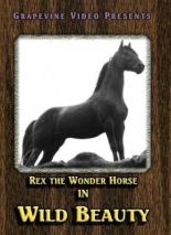 Дикая красота 1927