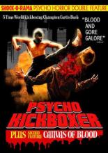 The Dark Angel: Psycho Kickboxer 1997