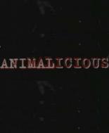Animalicious 1999