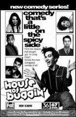 Надоедливый дом 1995