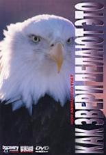 Discovery: Как звери делают это 2000