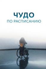 Чудо по расписанию  (2016)