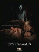 Стена с секретами (2010)