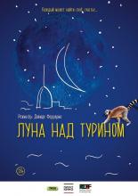 Луна над Турином (2013)