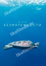Мир безмятежности (2020)