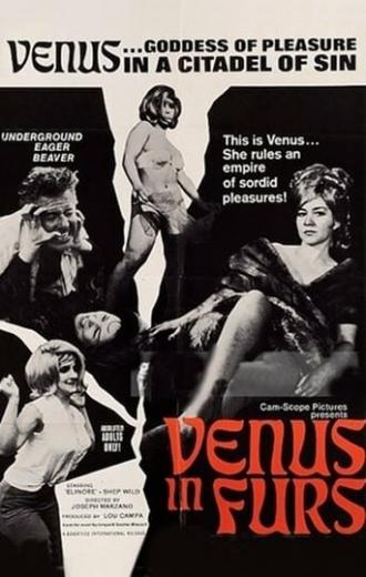 Венера в мехах (фильм 1967)