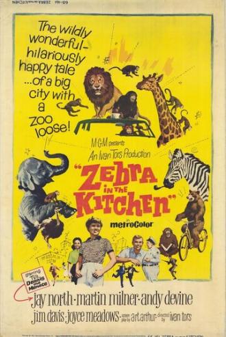 Зебра на кухне (фильм 1965)
