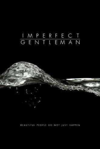 Imperfect Gentleman (фильм 2018)