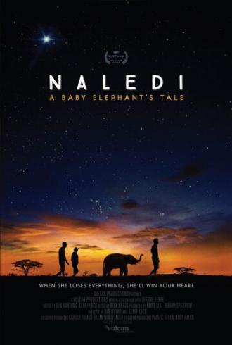 Naledi: A Baby Elephant's Tale (фильм 2016)