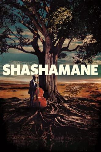 Shashamane (фильм 2016)