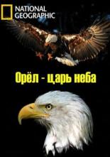 Орёл — царь неба (2014)