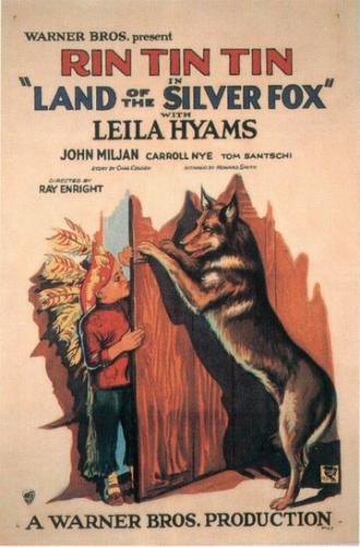 Land of the Silver Fox (фильм 1928)