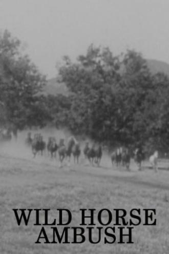 Wild Horse Ambush (фильм 1952)