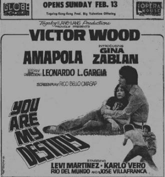 You Are My Destiny (фильм 1973)