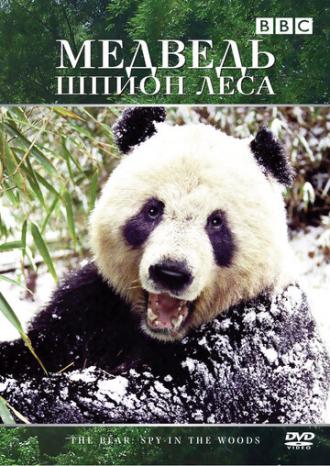 Медведь: Шпион леса (фильм 2004)