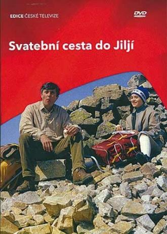 Свадебное путешествие в Илью (фильм 1983)