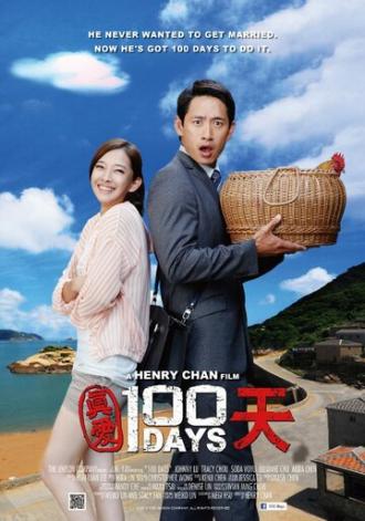 Zhen ai 100 tian (фильм 2013)