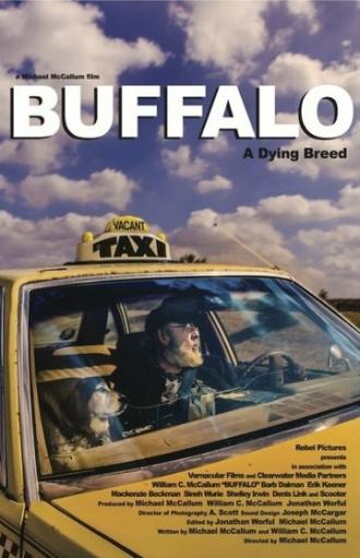 Buffalo (фильм 2015)