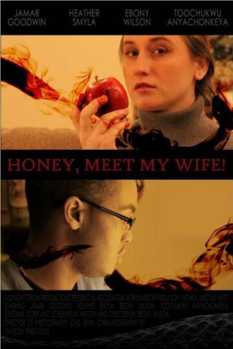 Honey, Meet My Wife! (фильм 2013)