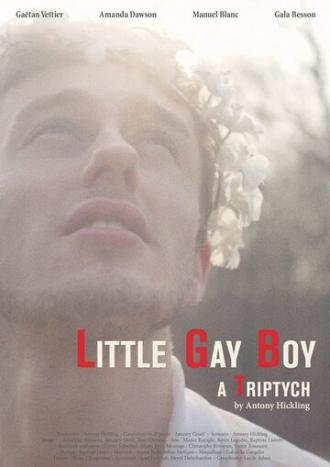 Маленький мальчик-гей (фильм 2013)