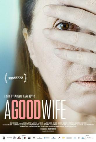 Хорошая жена (фильм 2016)