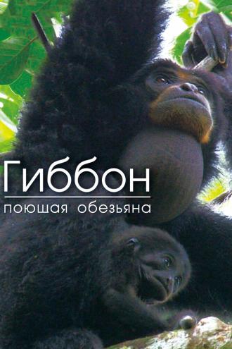Гиббон — поющая обезьяна