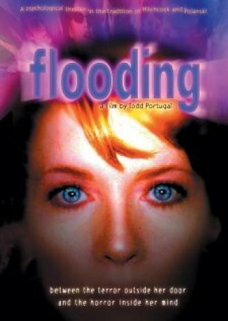 Flooding (фильм 2000)