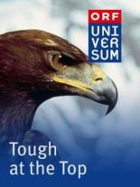 Tough at the Top 1998