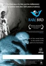 Rare Bird 2006